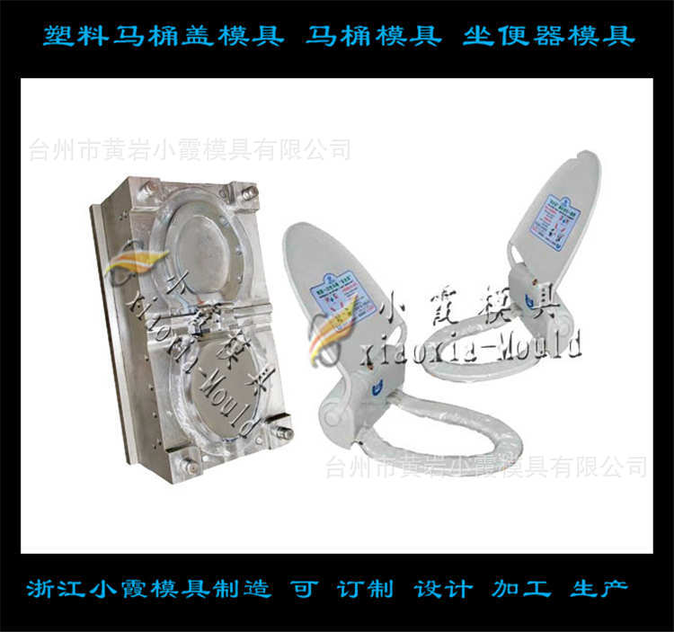 智能马桶盖模具 (63)