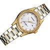 Swiss watch, fashionable quartz watches, women's watch stainless steel