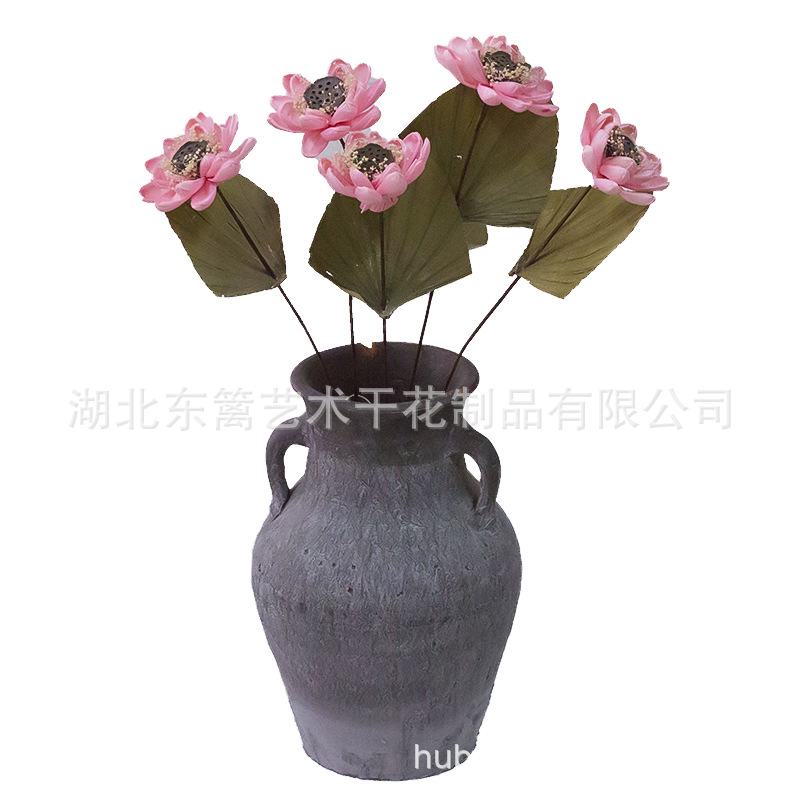 睡莲粉色带莲蓬