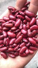 紅芸豆英國紅芸豆2022年新貨上市出口標准英國紅花芸豆紅腰豆
