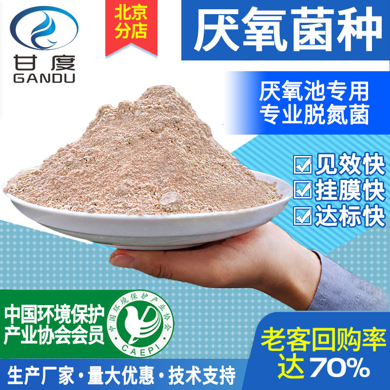 Gump Sewage Anaerobic bacteria Anoxic pool dedicated Denitrifying bacteria microorganism activity sludge strain