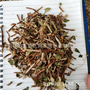 �y���� ��ș���̶��� �y���� ���y���� ��؛