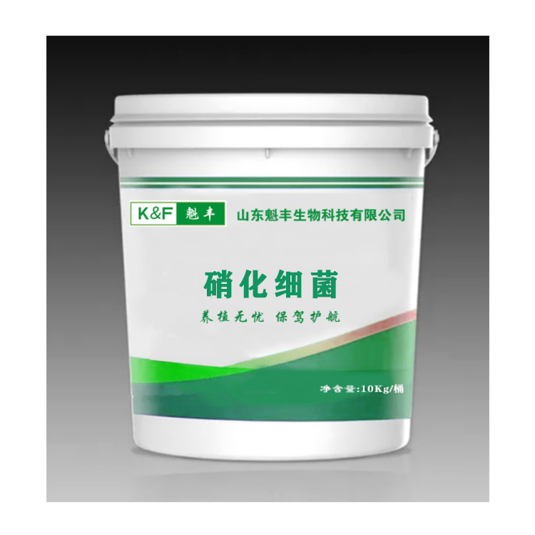 硝化细菌反硝化细菌水产用亚硝酸盐氨氮调水改水增氧