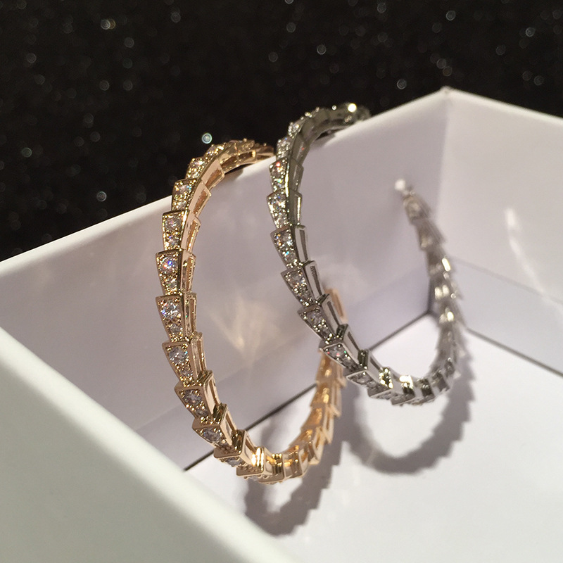 Snake-shaped Hoop Earrings Micro-inlay New S925 Silver Needle Hoop Earrings Wholesale Nihaojewelry display picture 2