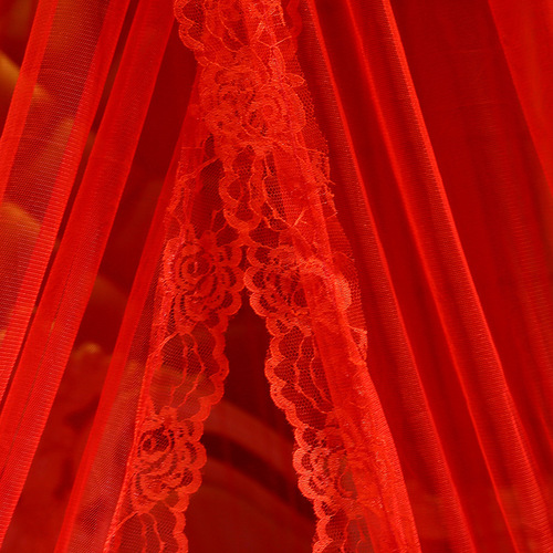 Cross-border ceiling dome mosquito net princess bed canopy wedding red color marriage butterfly double-person self-erecting mosquito net wholesale