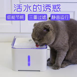 New pet electric constant temperature water dispenser for cats and dogs drinking basin automatic circulating pet water feeder