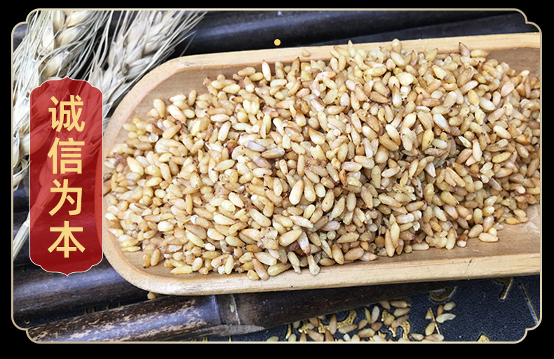 Dried Platycladus Seed Bai Zi Ren Bulk Whole Seeds Traditional Herbal Ingredient 500g in use