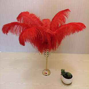 �x�����S��ɫ��ë50-55cm�r�Bë��c�b������b����ɴ��r�B��ë