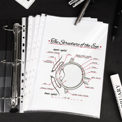 Transparent file folder with 11 holes, 20 pages per pack, for use with Leida 5710 punching sheets and loose-leaf documents.