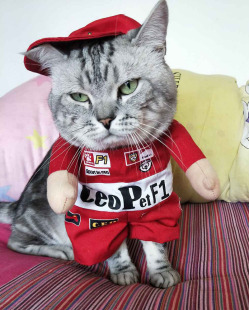 ؈���·����R�d�f�}�������·� ֱ���b����ِ܇�� ׃���b�����·�