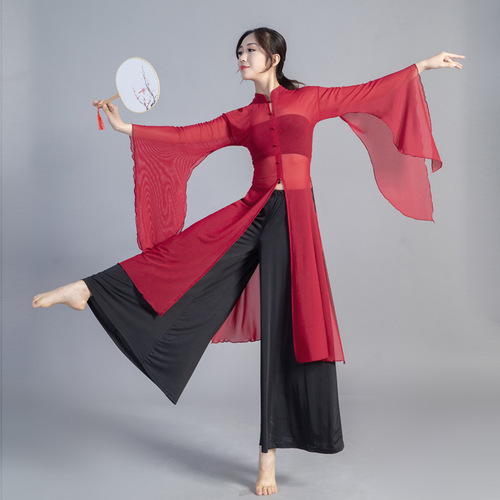 Classical dance practice autumn and winter performance clothes for women, elegant clothes, Chinese ancient style body shape, wide sleeves, flowing fairy gauze dance clothes