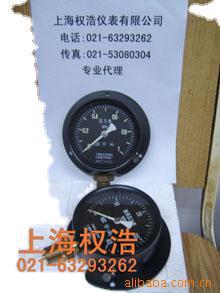 供应YC-150T YC-150ZT船用压力表