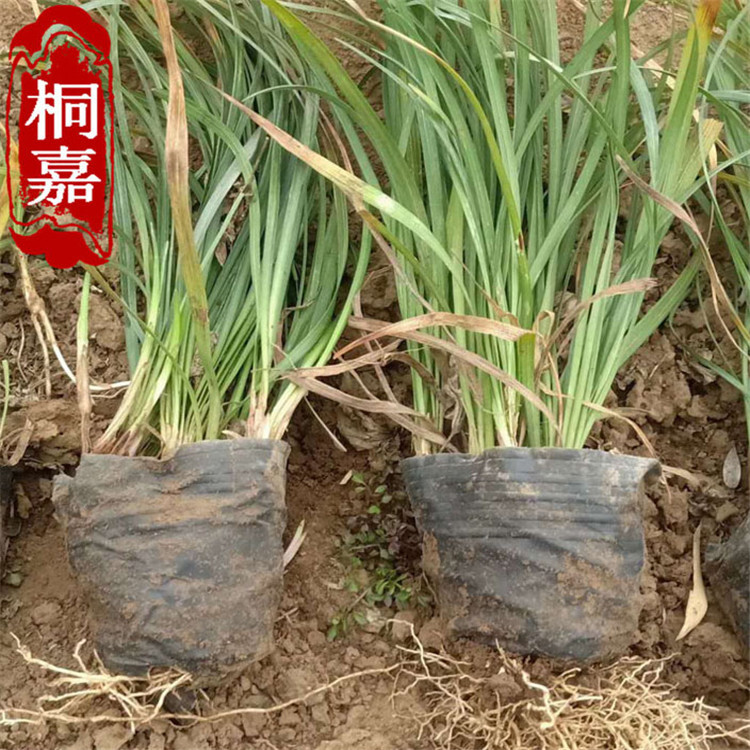 ΢��ͼƬ_202003091450413