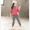 Autumn girls suit 2020 new pattern Korean Edition Fashionable Western style CUHK Women's wear 12 girl spring and autumn