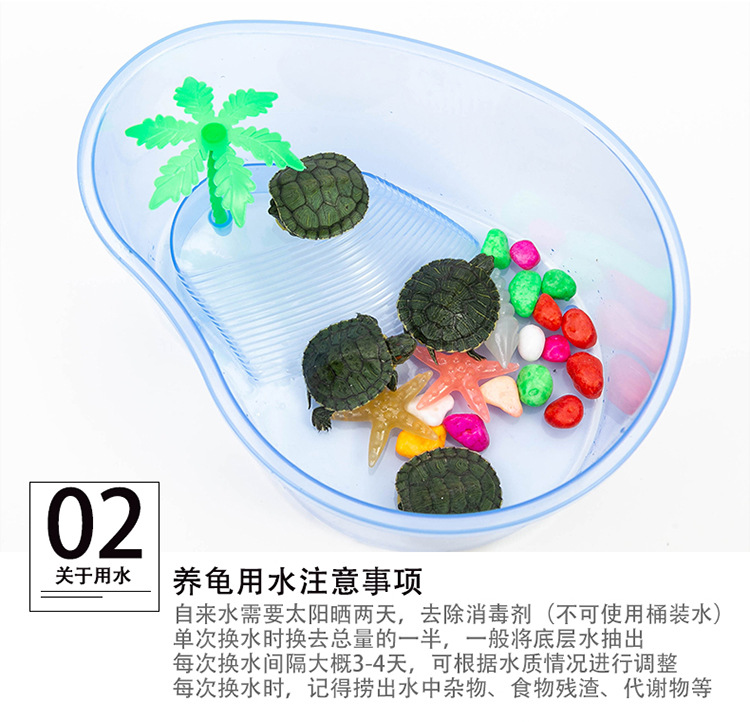 乌龟_10