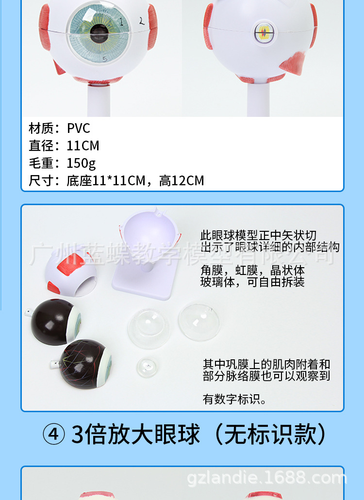 眼球_07.jpg
