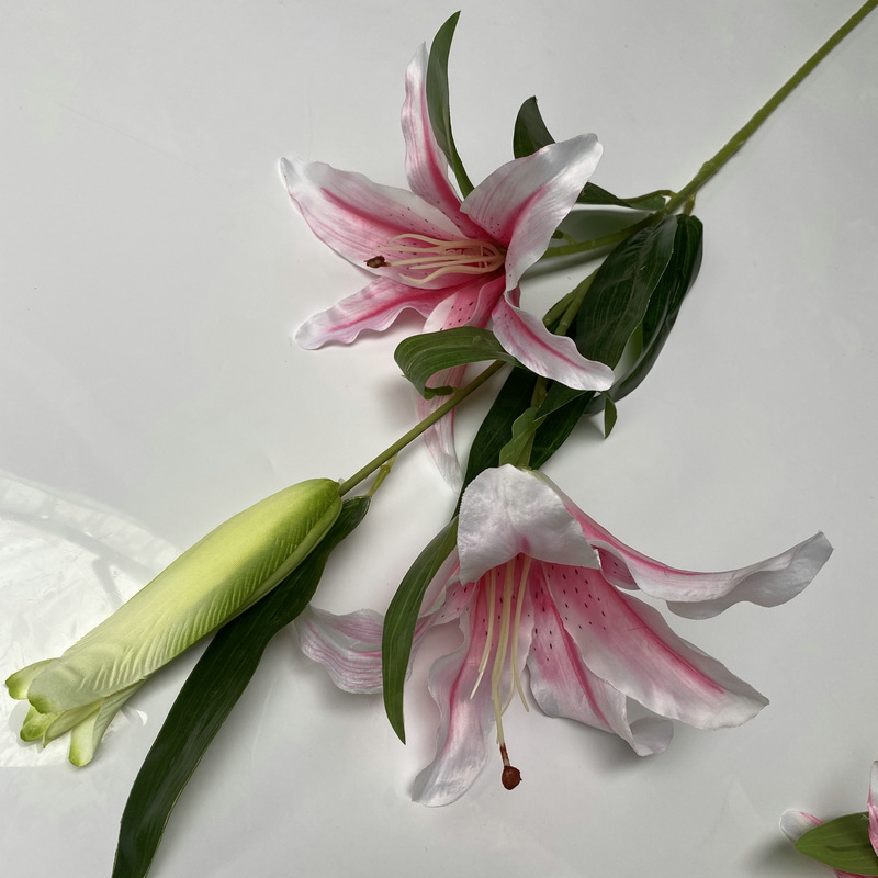 新百合大只浅粉