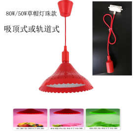 水果店菜市场超市专用照肉照水果led生鲜灯鸡鸭卤肉红白光鲜肉灯