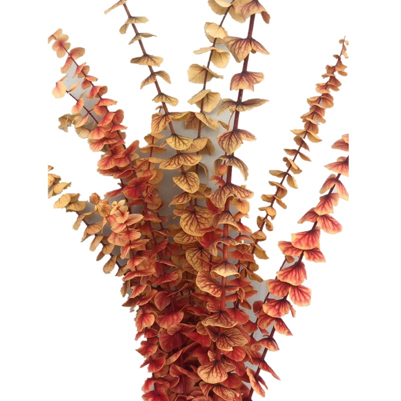 微信图片_20200322234735