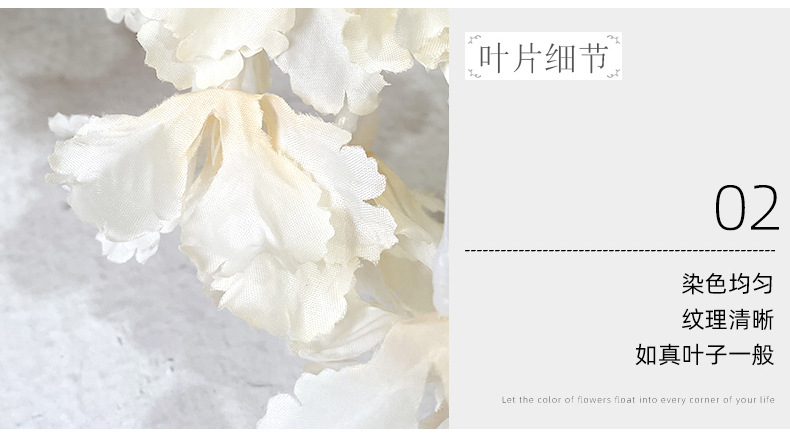 四叉飘雪_08.jpg
