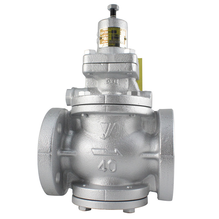 ֻGP-1000ʽѹ ձҫϣ￭ݻѹѹ