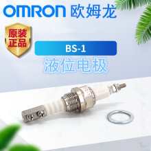 原装Omron/欧姆龙BS-1水位探针锅炉配附件液位电极耐温保持器