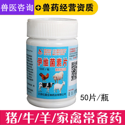 Veterinary medicine Ivermectin Anthelmintic Pregnant Sheep In vivo Insect Cats and dogs Anthelmintic