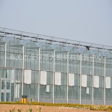 玻璃温室工程山东温室大棚工程造价 智能温室 生态餐厅 连栋温室