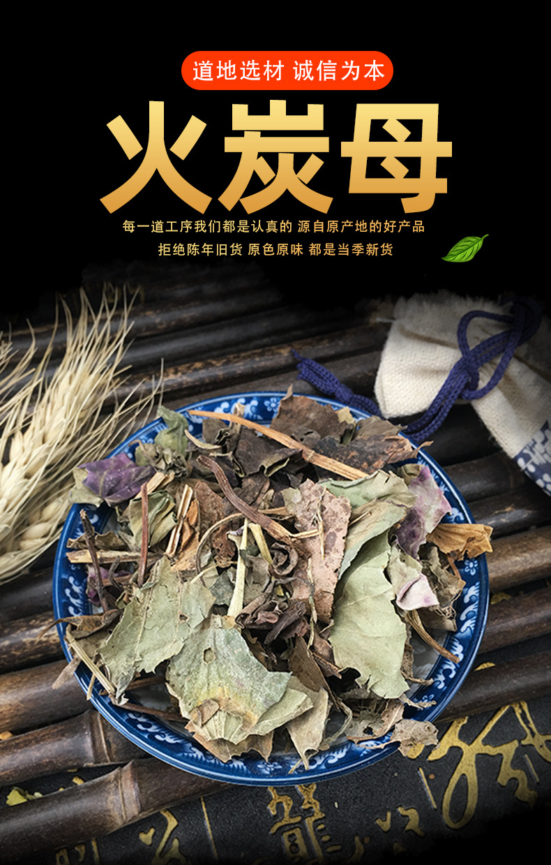 Dried Huo Tan Mu Herb Powder Polygonum chinense Bulk Raw Botanical Ingredient key features