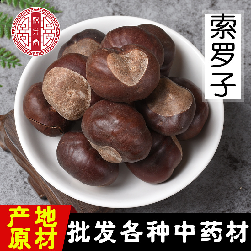 冷背中药材索罗子 优质散装梭罗子莎婆子娑罗子 产地货源量大从优