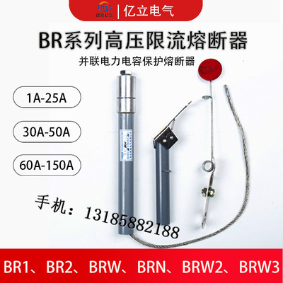 BR1 BR2-10-12KV/130A135A140A145A150A160A параллельный конденсаторный предохранитель высокого напряжения