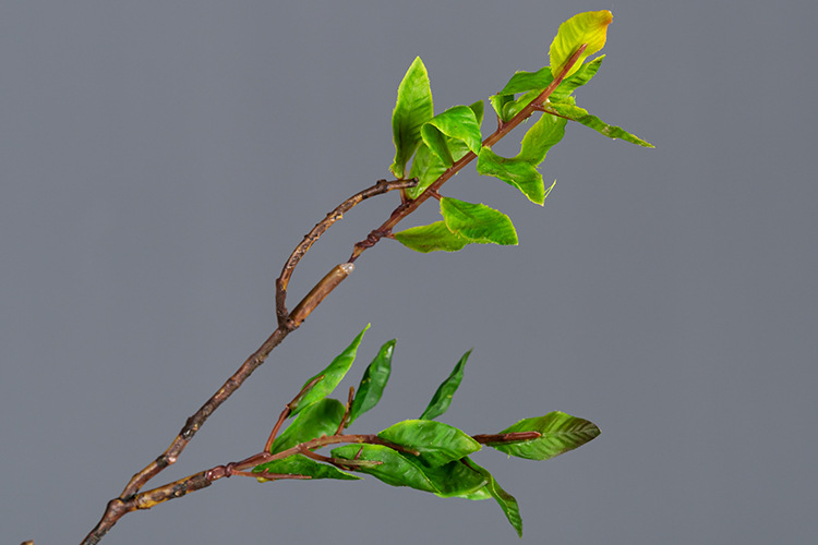 经典5头石榴 红色_07.jpg