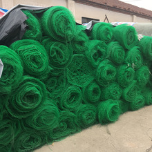 ߅�·��o�G�����Sֲ���W ���w�o�¾Gɫ���Sֲ���W