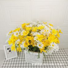 �S�����l���滨��ʾպ��m�����컨���͏d�[�OҰ�ջ��ٻ��b[��