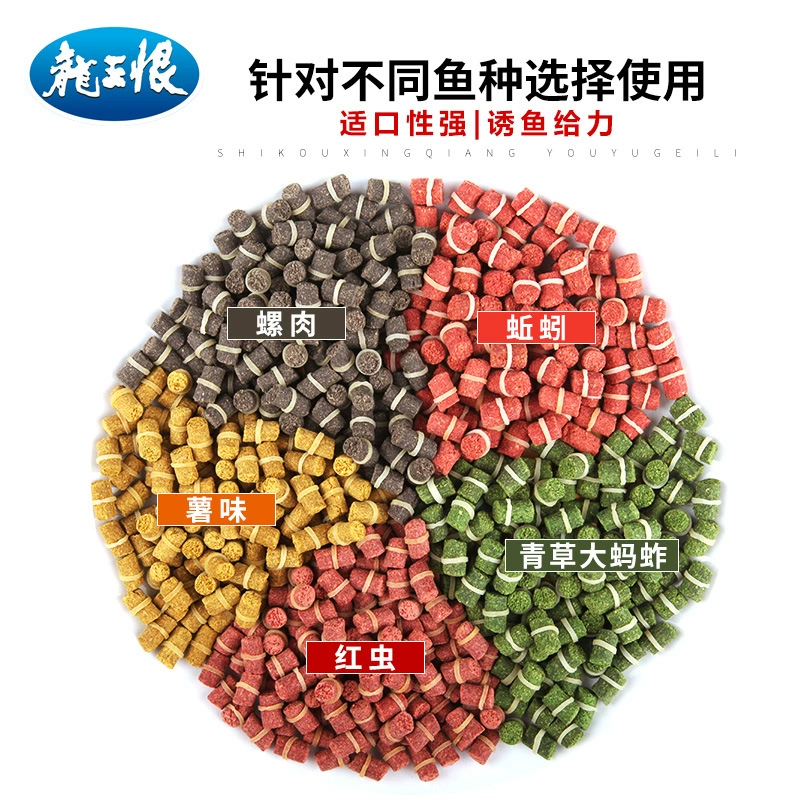 Dragon King hates bait, catfish carp, fish fish, kill Hekeng Reservoir wild fishing food bulk bait