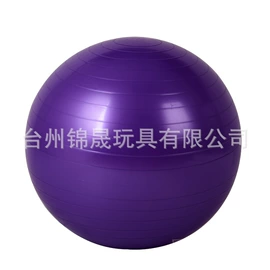 瑜伽球;壶铃;其他健身器材