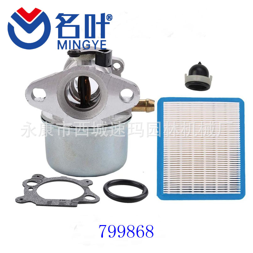 Coolwind 799868 Carburetor for