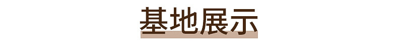 详情_12