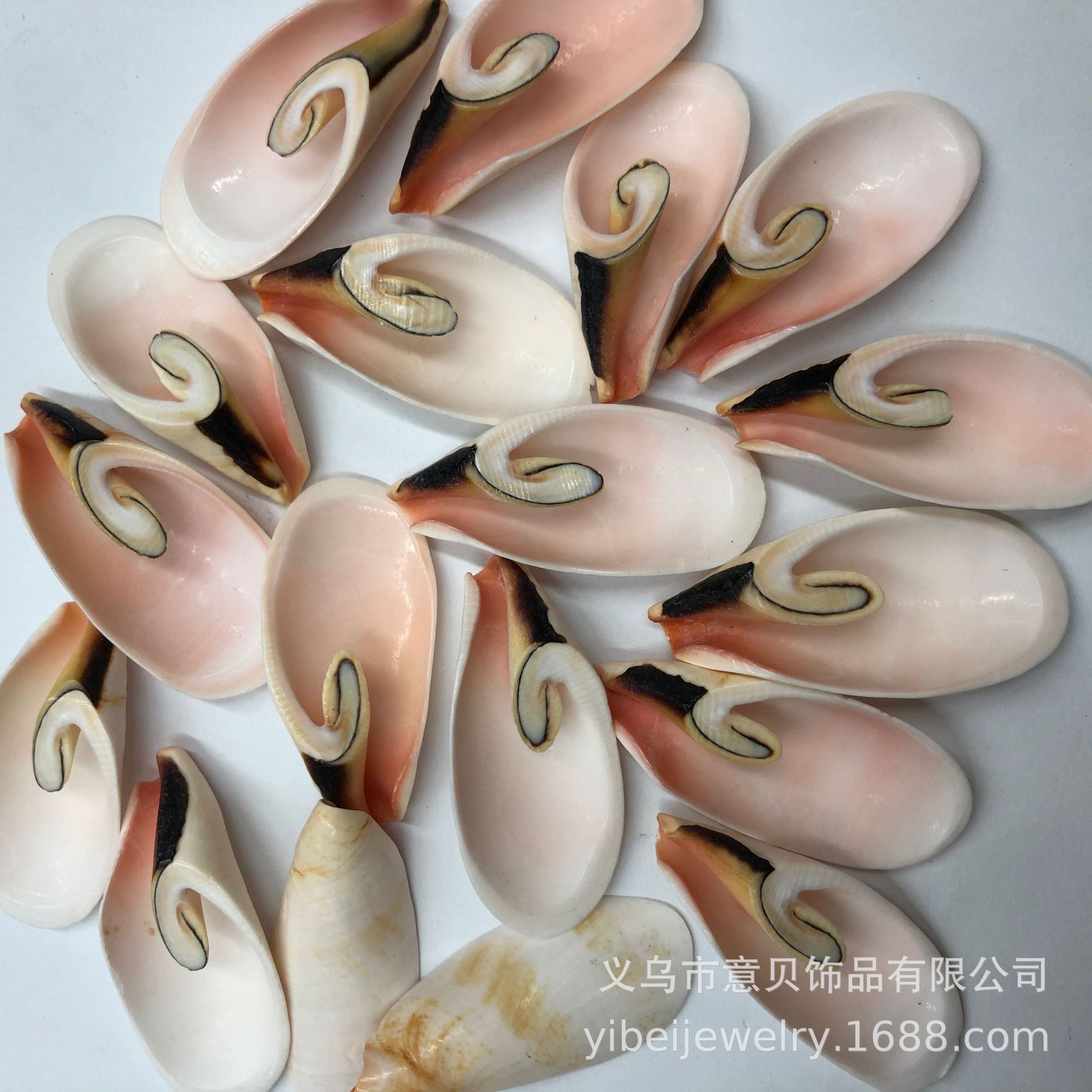 QQ图片20201012102904