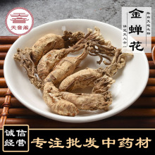 ��؛���s�� ���ș�����l֪�˻��s�� �sӼ�� ���x�ݿ�һ�����l