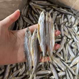 郧西贸易公司怎么选？从农资批发到企业采购，把县域批发的门道讲清楚