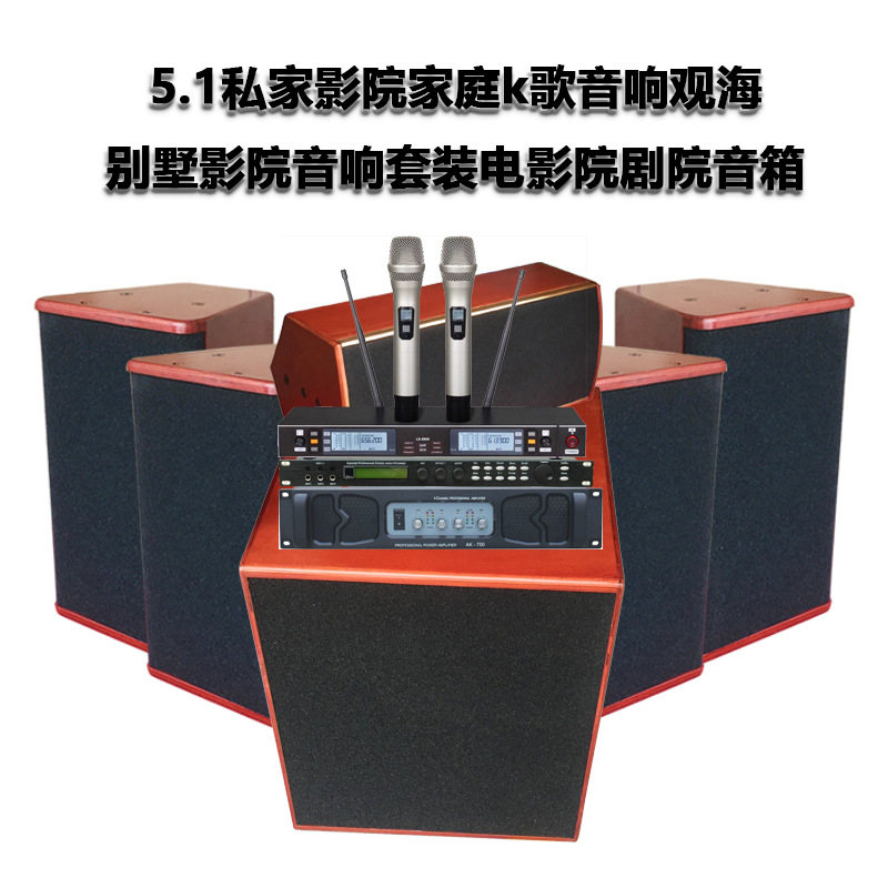 5,1 cine privado casa karaoke audio viendo Villa traje de cine Cine Teatro altavoz fabricante