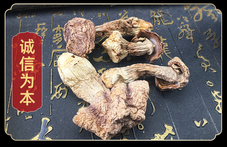 Dried Agaricus Blazei Mushrooms Ji Song Rong Whole Dried Culinary Mushroom for Soups and Broths in use