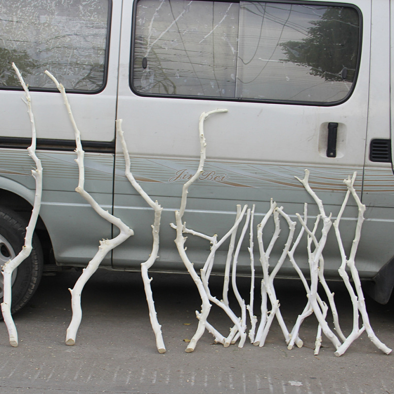 防腐龙骨干树干果树枝客厅装饰造型枯树枝干树枝插花干支造景装饰