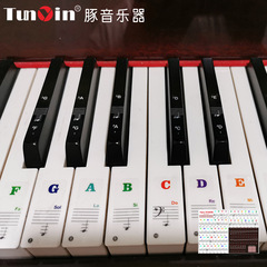 88/61/54/49/3732 Key Piano Transparent Stickers Electronic Piano Keyboard Handroll Simplified Music Scale Stickers Wholesale