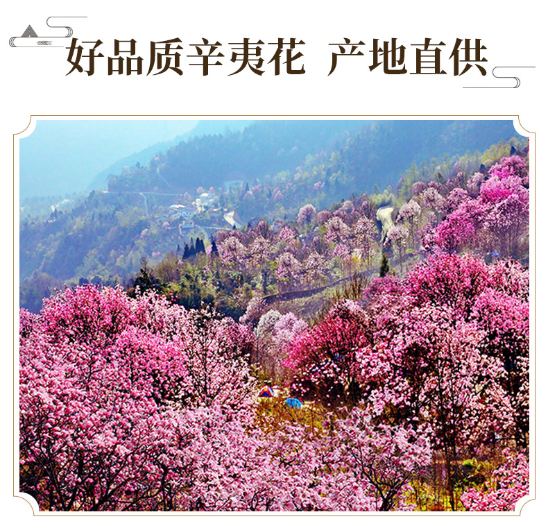 Xin Yi Hua Magnolia Flower Buds Dried Whole Buds for Herbal Tea and Decoction 500g key features