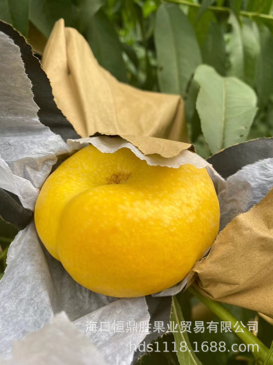 【陕西直发】陕西黄肉油蟠桃 4-4.5斤装 27.9包邮全国 新鲜水果|ms