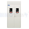 Naian monolayer gas cabinet argon Storage Steel Safety cabinet Authenticate Qualifications Complete