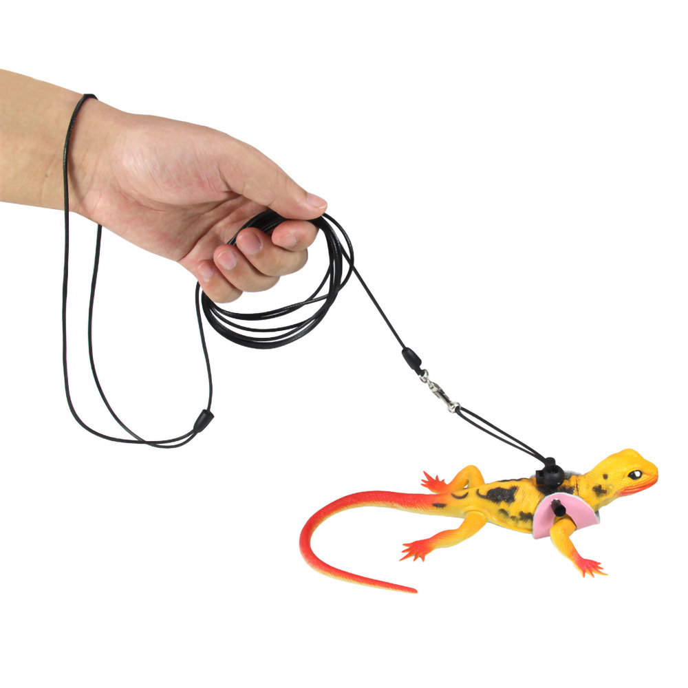 fdsafdsafdsavdfsafdsafdsafdsaf