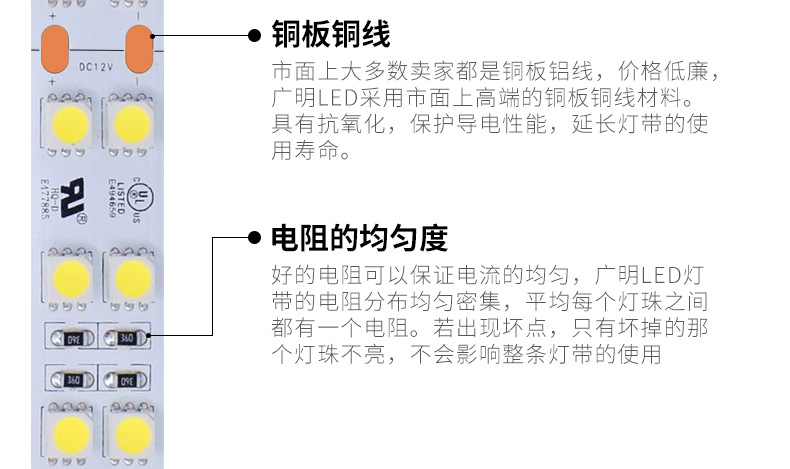 5050双排灯珠_05.jpg